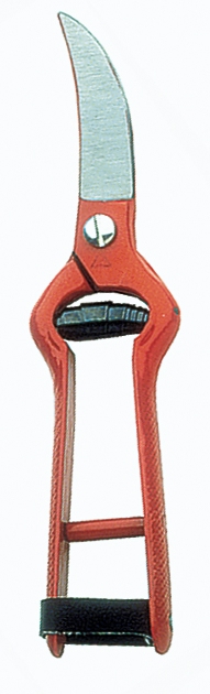 <div>TIJERA CORTA AJOS BELLOTA 3503-19</div>