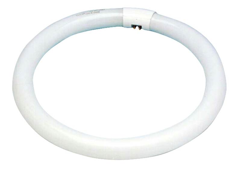 <div>FLUORESCENTE TUBO CIRCULAR 32W</div>