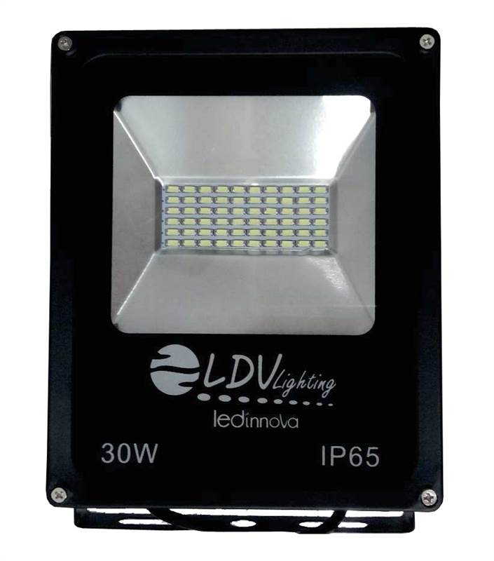 <div>FOCO PROYECTOR LED  30W 6000K BLANCA LDV</div>