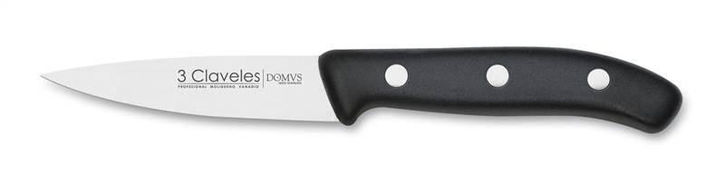 <div>CUCHILLO COCINA 3 CLAVELES DOMVS 950 9CM</div>