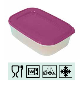 <div>FIAMBRERA HERMETICO 1,0 L (3 U.) MORADO</div>